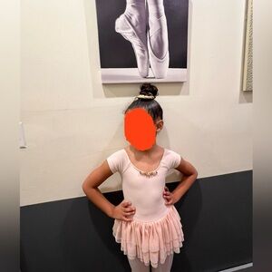 Theatricals Girls Pink Ballet Leotard with Rose Detail & Tutu Size Small (6-7)